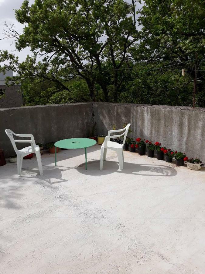 Apartman Milica Golubic  エクステリア 写真