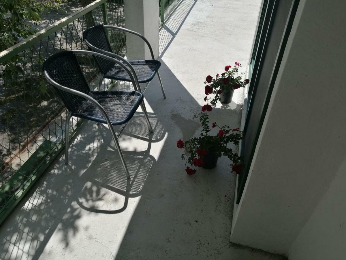 Apartman Milica Golubic  エクステリア 写真